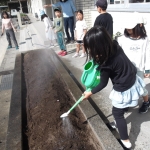 10.30チューリップ (2).JPG